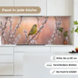 Groenling - Katjes - Lente - Natuur - Zacht keuken achterwand 2 middel -sfeer4_DE