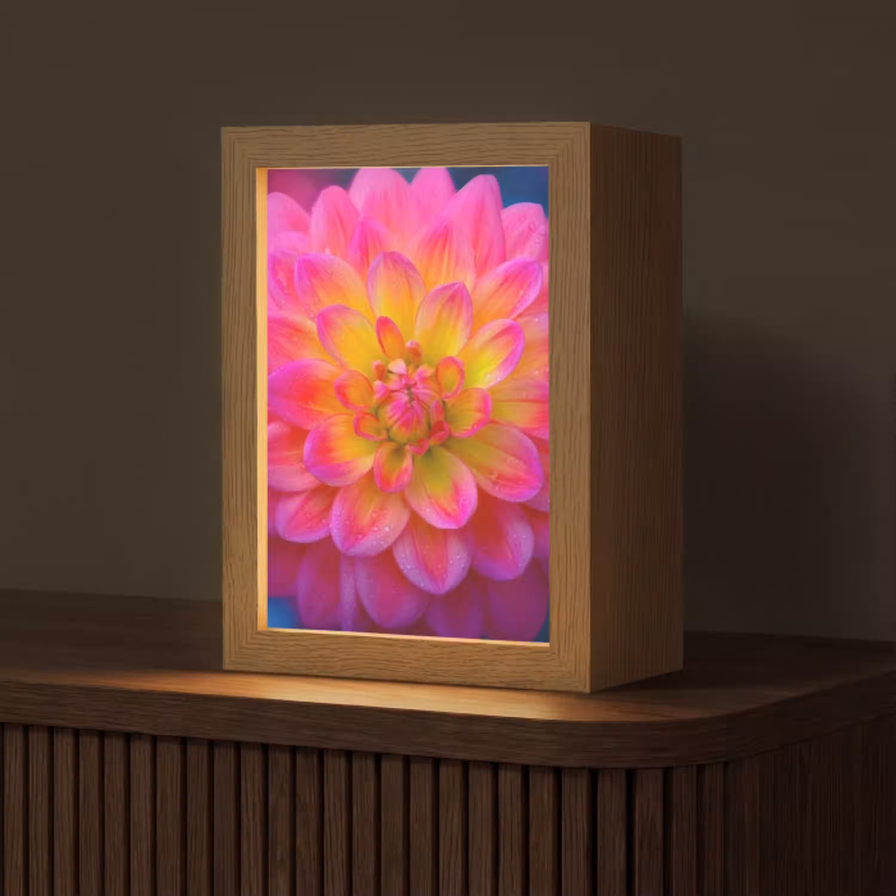 Roze - Dahlia - Kleurrijk Light Box met kabel (Tafellamp) klein -z3d_website