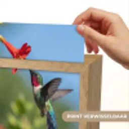 Kolibrie - Bloem - Natuur - Groen Light Box met kabel (Kinderlampje) klein -USP_websiteprintNL