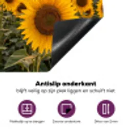 Zonnebloemen - Heuvellandschap - Geel Inductie beschermer vinyl 3mm klein -zzzzzzz-cc-onderkant