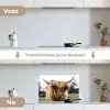 Schotse Hooglander -  Koe - Gras - Dieren - Natuur keuken achterwand spatscherm klein -voor_na_NL
