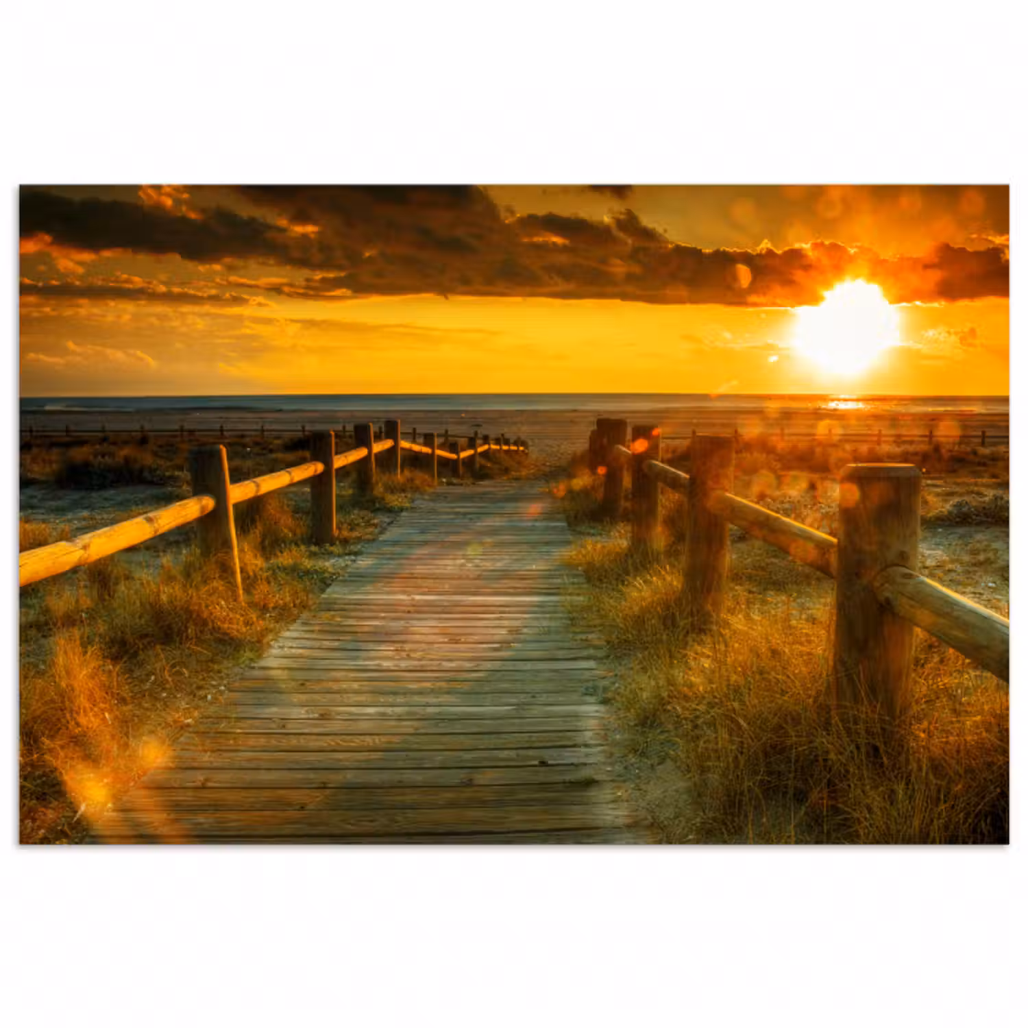 Poster - Sonne - Strand - Düne - Horizont - Gras - Weg - Orange
