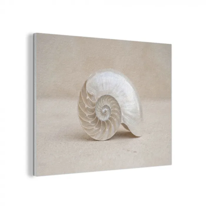 Schelp - Spiraal - Beige PET vilt klein -3d