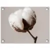 Katoenbol - Minimalistisch - Wit tuinposter los doek klein -3d