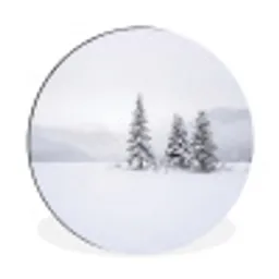 Fijnsparren - Sneeuw - Winter - Landschap - Stilte Wandcirkel aluminium klein -3d