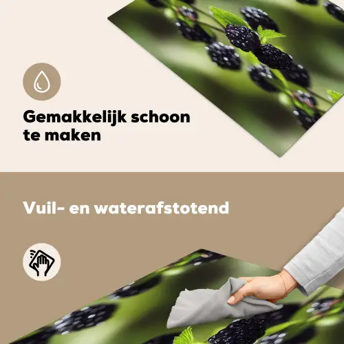 Bramen - Bladeren - Tros Inductie beschemer met haakjes klein 777 -ky-schoon-nl