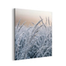 Rijp - Gras - Kristallen - Winter - Minimalistisch aluminium wit klein -3d