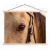 Paard - Oog - Bruin textielposter latten blank klein -3d