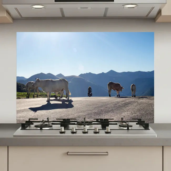 Schotse hooglander - Licht - Berg - Natuur keuken achterwand spatscherm klein -3d_website