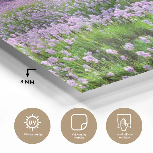 Lavendel - Bloemen - Zonsondergang - Paars - Weide plexiglas 5mm klein -sfeer2