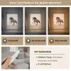 Paard - Galop - Energie Light Box met kabel (Tafellamp) klein -USP_lichtkleurDE
