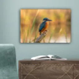 IJsvogel - Tak - Water - Kleurrijk - Levendig canvas 2cm klein -sfeer4