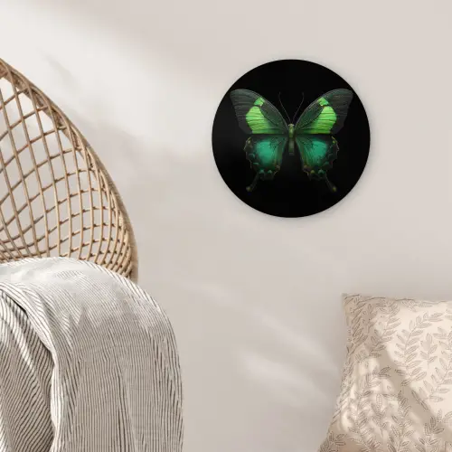 Vlinder - Groen - Opvallend Wandcirkel kunststof plaat 5mm dik klein -sfeer5