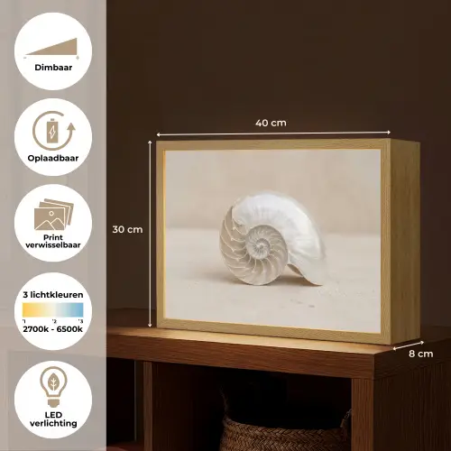 Schelp - Spiraal - Beige Light Box met batterij (Wandlamp) middel -USP_websiteoverzichtNL