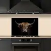 Schotse hooglander - Portret - Zwart - Dier keuken achterwand spatscherm klein -sfeer1