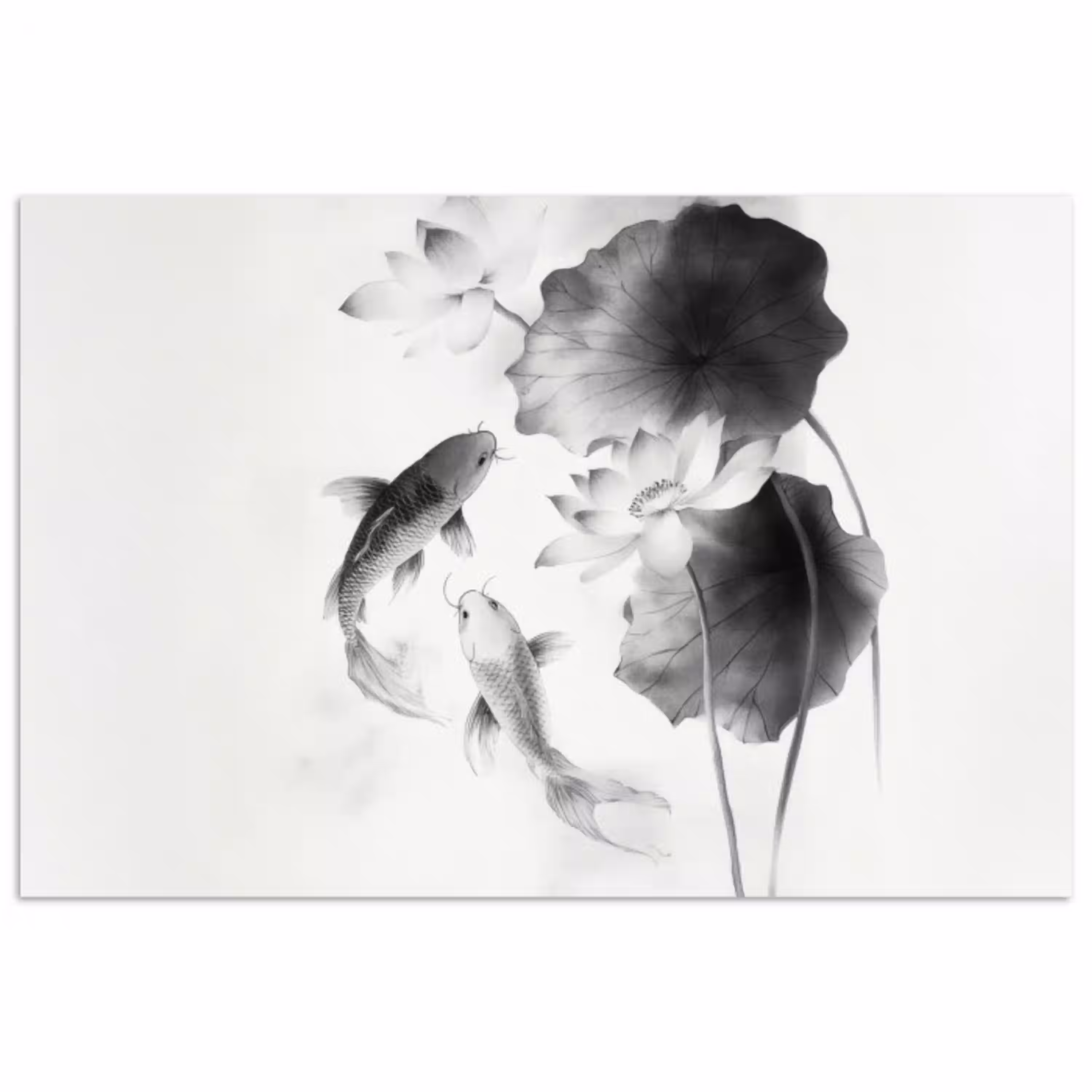 Lotusbloemen - Vissen - Bladeren - Zwart poster papier klein -3d