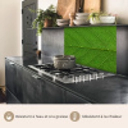 Natuur - Blad - Groen keuken achterwand 2 middel -usp_FR