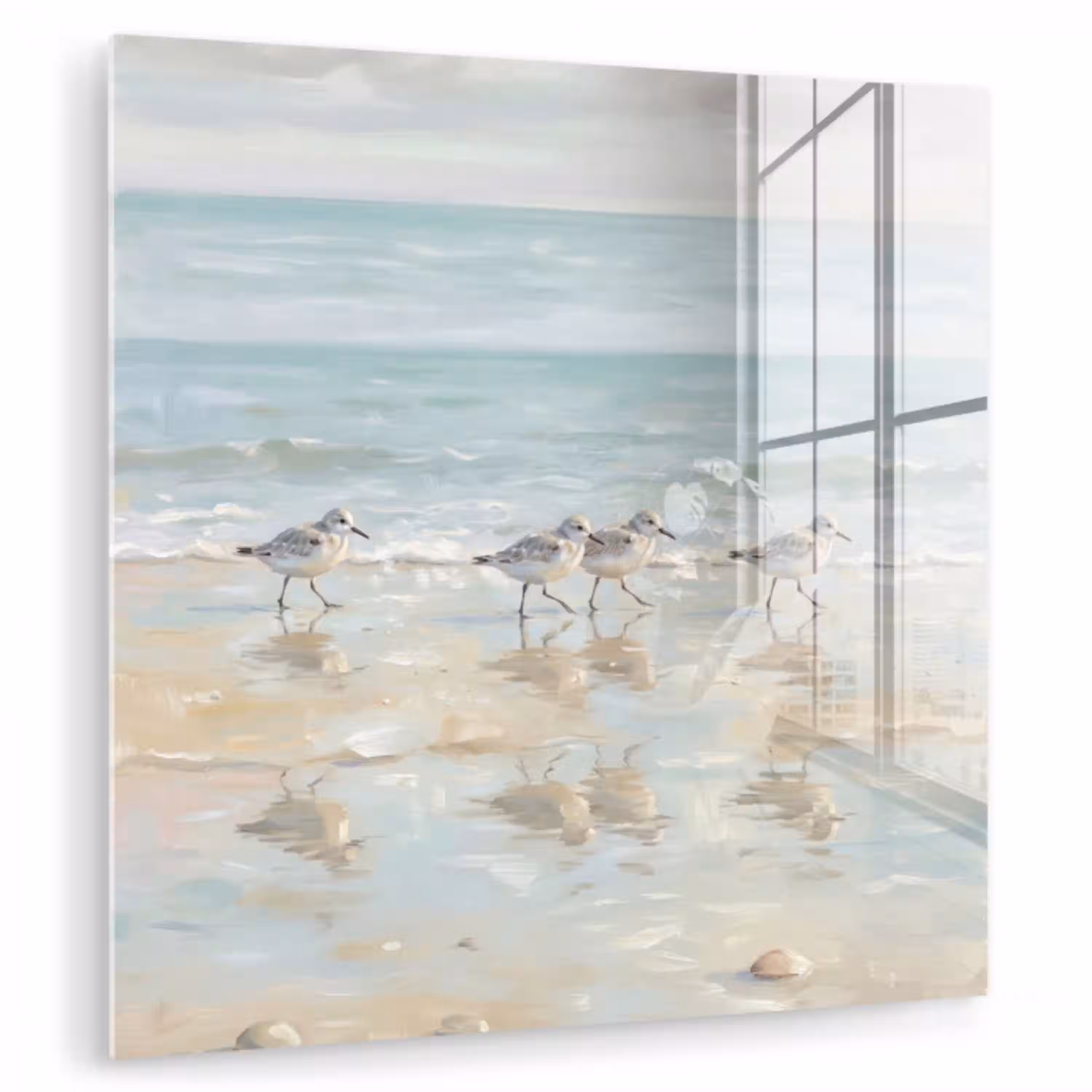Vogels - Strand - Zee plexiglas 5mm klein -zzzproduct_nieuw