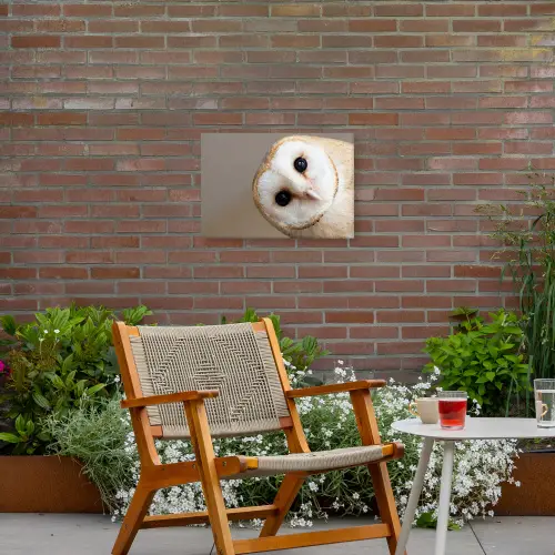 Uil - Bruin - Wit Tuinposter op houten frame 2 cm dik klein -sfeer3