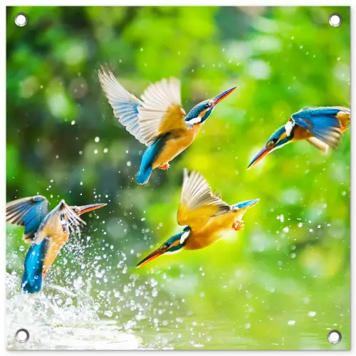 IJsvogels vliegen in het water tuinposter los doek klein -3d