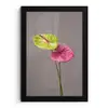Planten - Anthurium - Groen - Roze fotolijst zwart zonder passe partout klein -3d