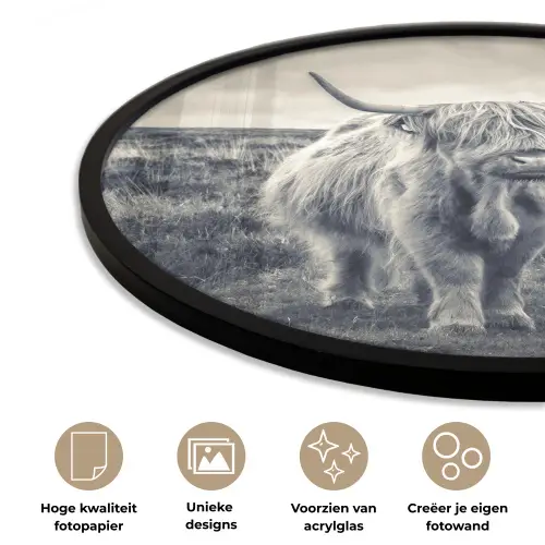 Schotse hooglander - Dieren - Wolken - Koe - Natuur Fotolijst rond zonder passe partout klein -closeup_NL