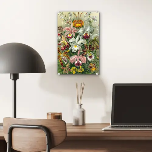 Planten - Natuur - Bloemen - Ernst Haeckel plexiglas 5mm klein -sfeer6