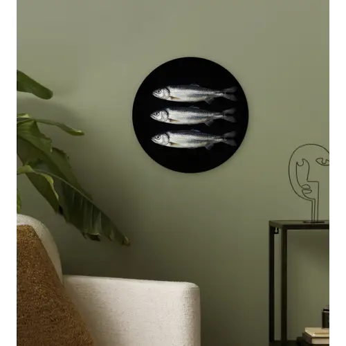 Haring - Vissen - Zwart Wandcirkel kunststof plaat 5mm dik klein -sfeer3