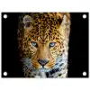 Luipaard - Dieren - Portret - Wilde dieren - Zwart tuinposter los doek klein -3d