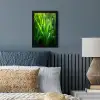 Grassprieten - Lichtinval - Groen fotolijst zwart zonder passe partout klein -sfeer3