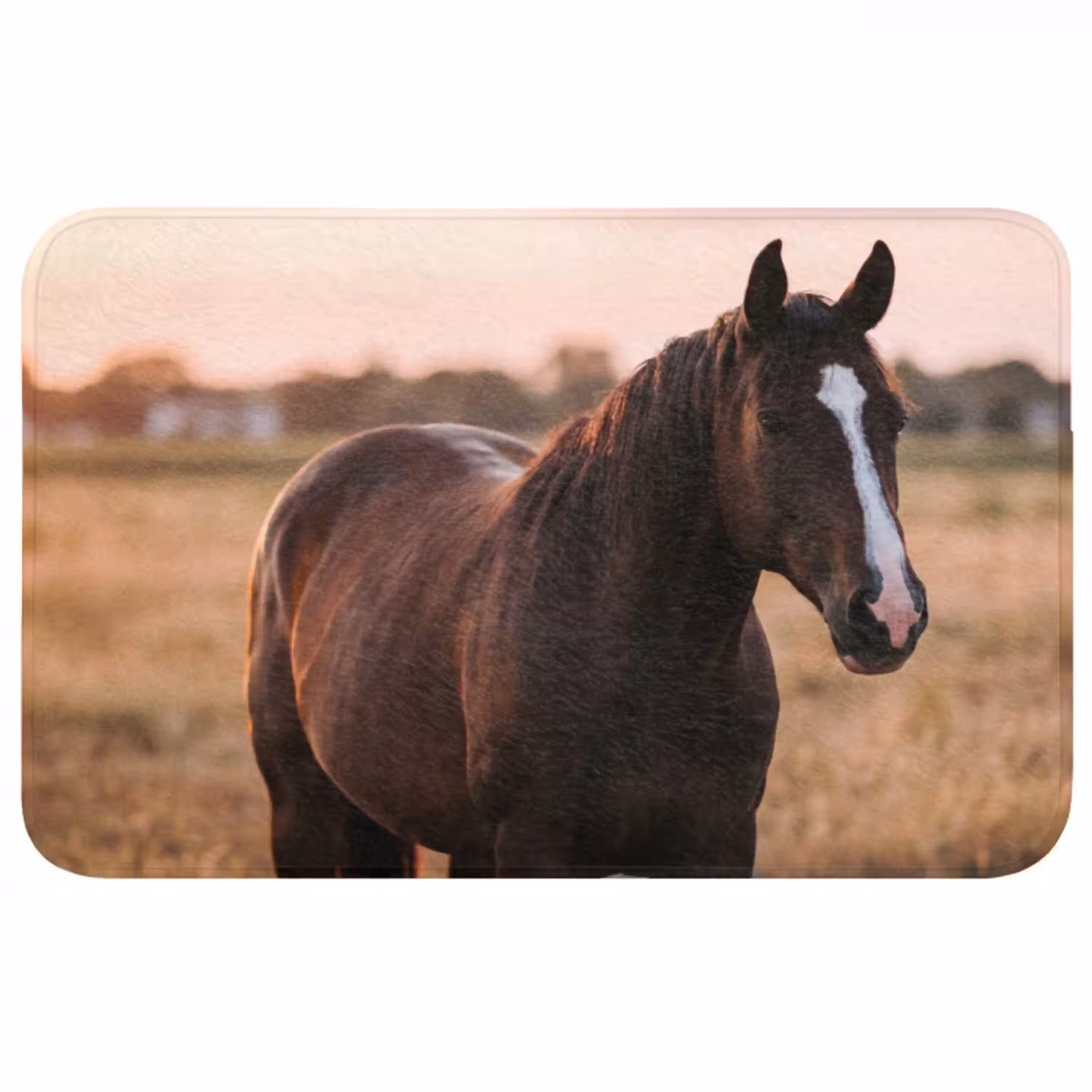Paard - Zonsondergang - Bruin WCmat middel -3d