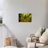 Bomen - Steen - Bos - Natuur - Planten Tuinposter op houten frame 2 cm dik klein -sfeer1