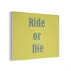 Ride or die - Geel - Blauw PET vilt klein -3d