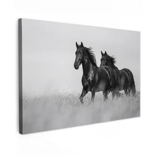Paarden - Gras - Zwart - Wit canvas 2cm klein -z3d