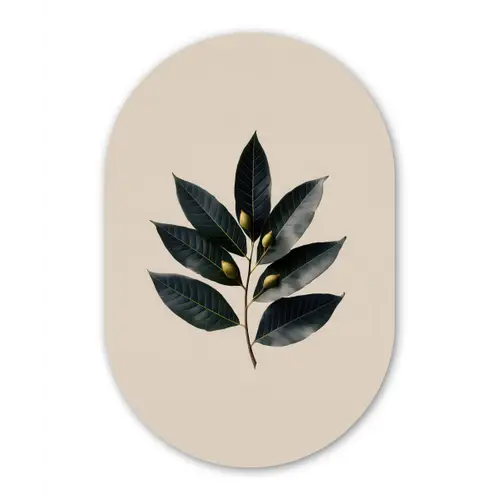 Laurierbladeren - Bloemknoppen - subtiel Wandcirkel Ovaal Forex klein -3d