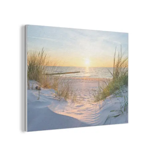 Strand - Zon - Duin - Gras - Zand - Horizon PET vilt klein -3d