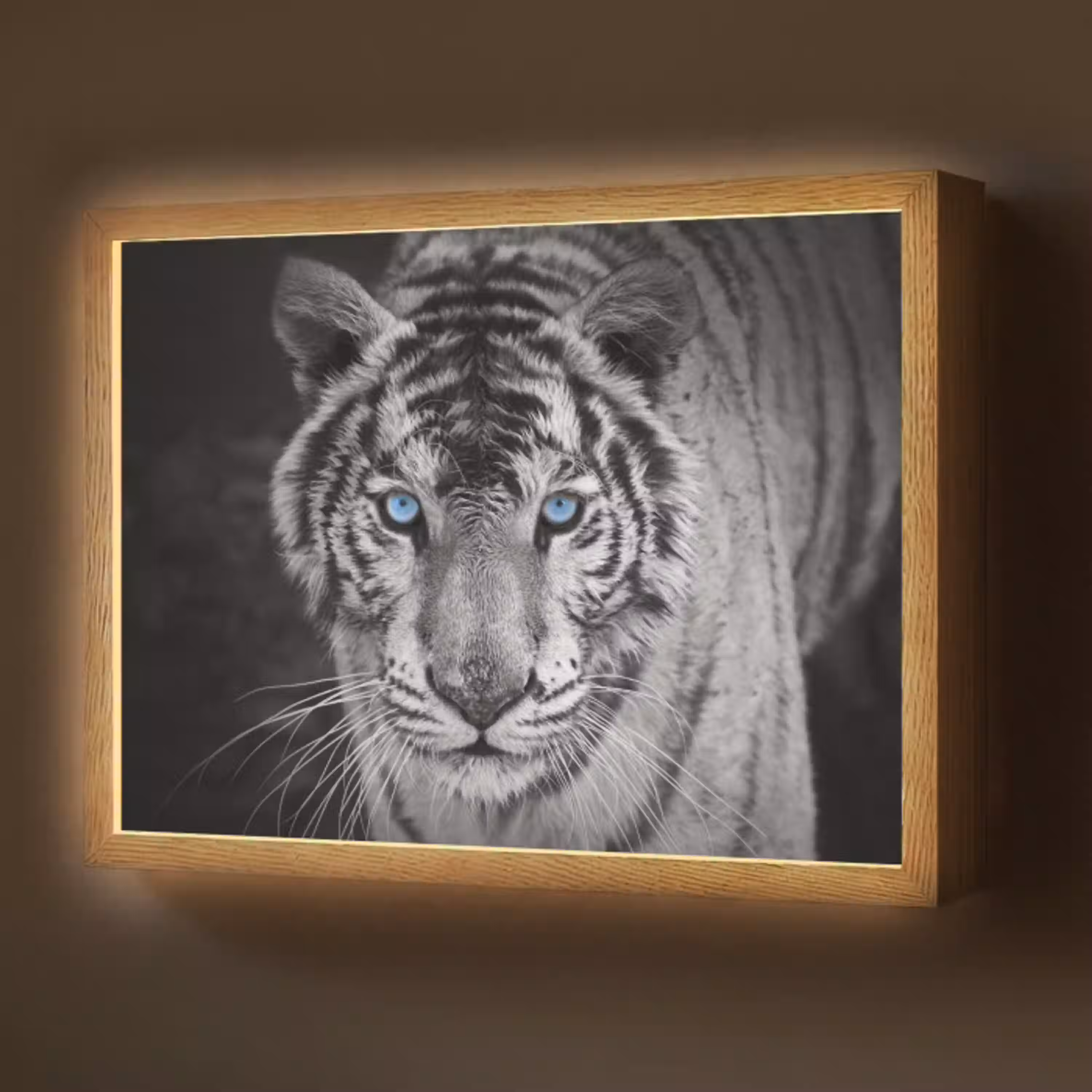 Tijger - Dier - Zwart - Blauw - Modern Light Box met batterij (Wandlamp) middel -z3d_website