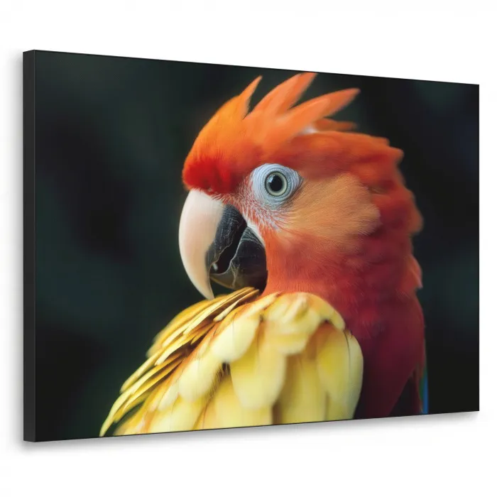 Close-up - Papegaai - Veren - Oranje Textielframe - compleet frame klein -3d