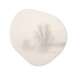 Boom - Mist - Sneeuw - Winter - Minimalistisch Wandcirkel Organisch Aluminium middel -3d