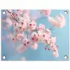 Takken - Bloesems - Roze tuinposter los doek klein -3d