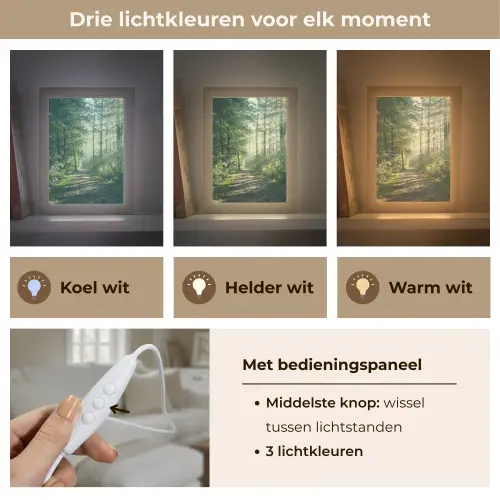 Bos - Pad - Zon - Bomen - Groen - Natuur Light Box met kabel (Tafellamp) klein -USP_lichtkleurNL