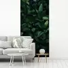 Bladeren - Ovaal - Groen - Nerven fotobehang vinyl groot -woonkamer