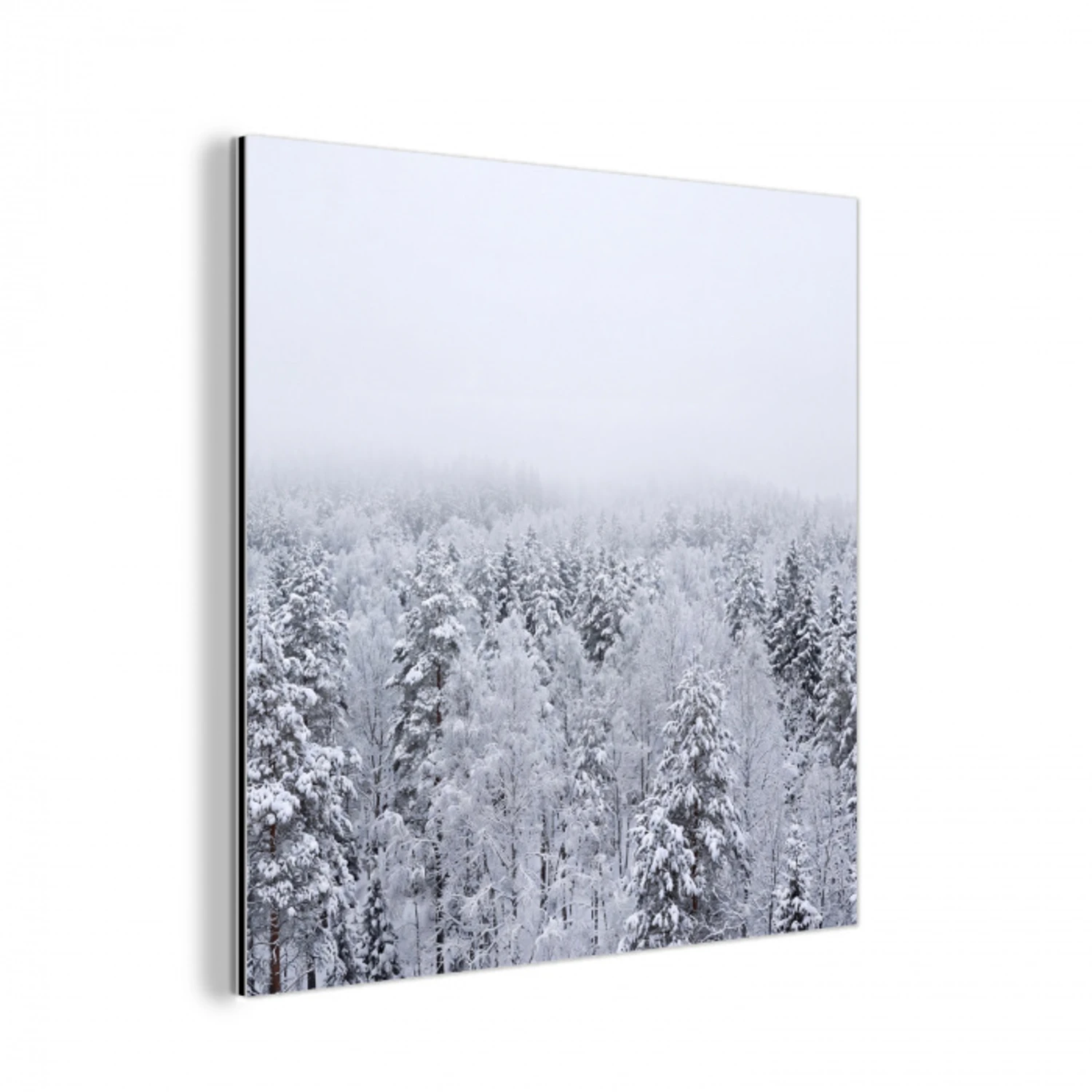 Bos - Sneeuw - Winter - Natuur - Wit aluminium wit klein -3d