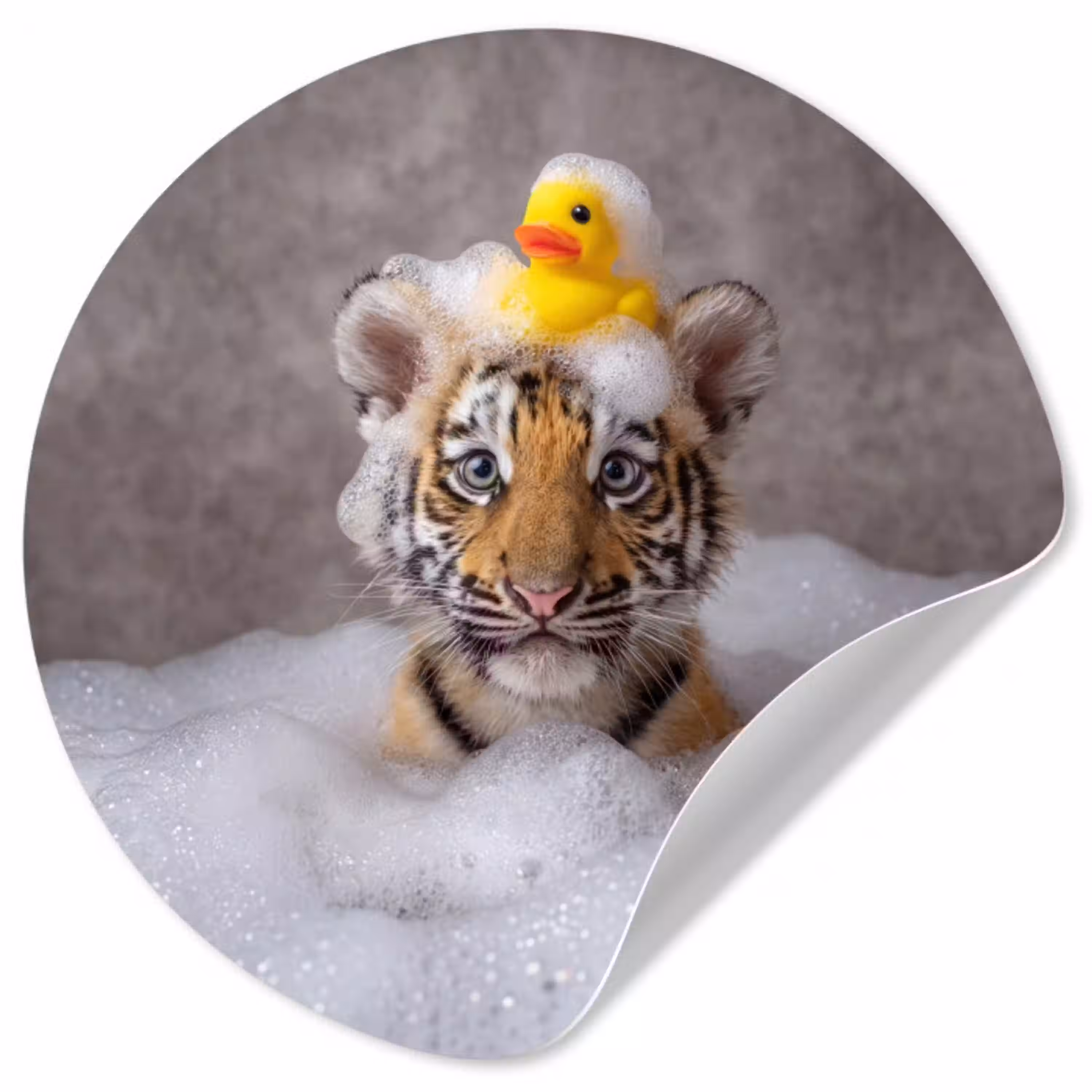 Welpje - Bad - Geel Wandcirkel behangsticker klein -3d