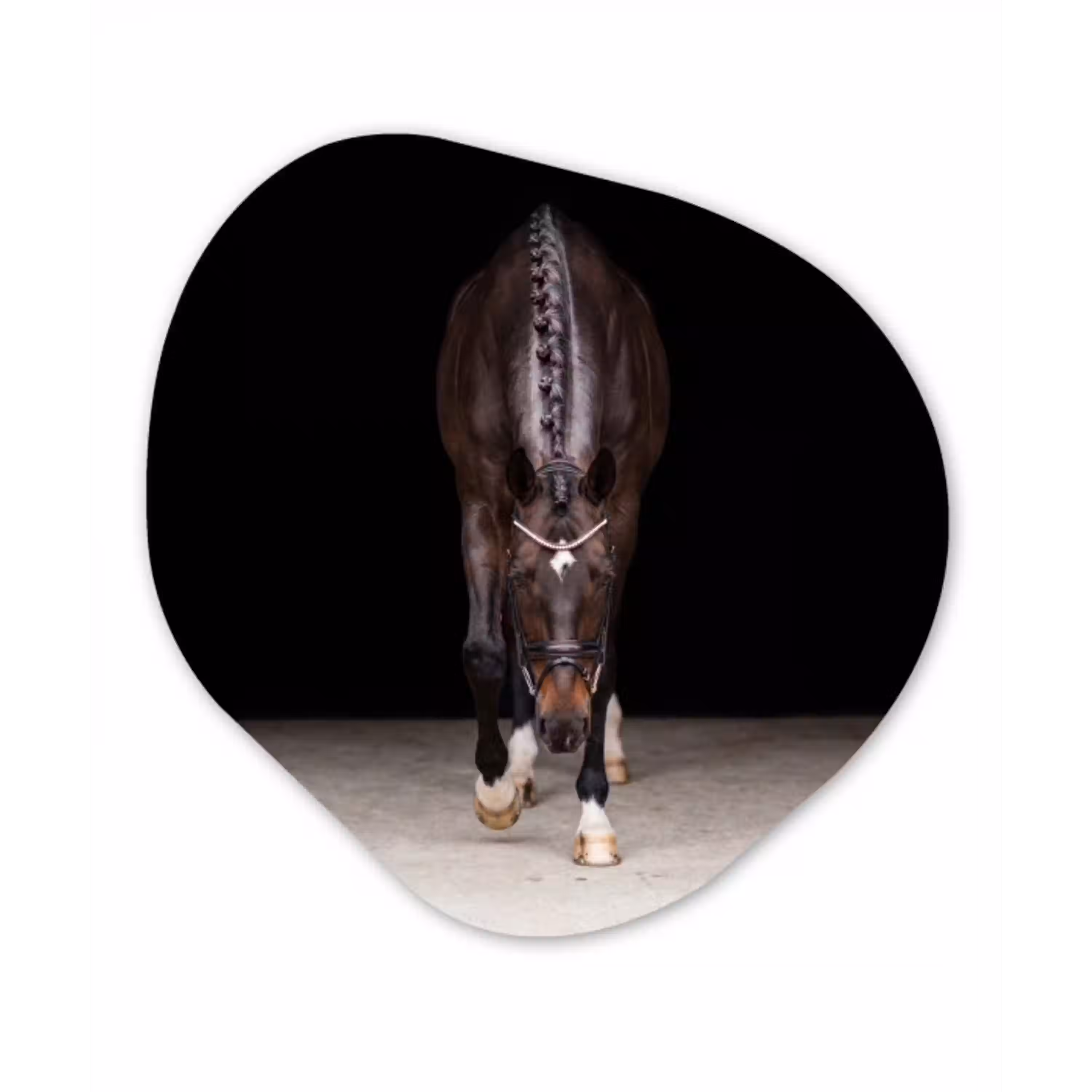 Paard - Modern - Portret Wandcirkel Organisch Aluminium middel -3d