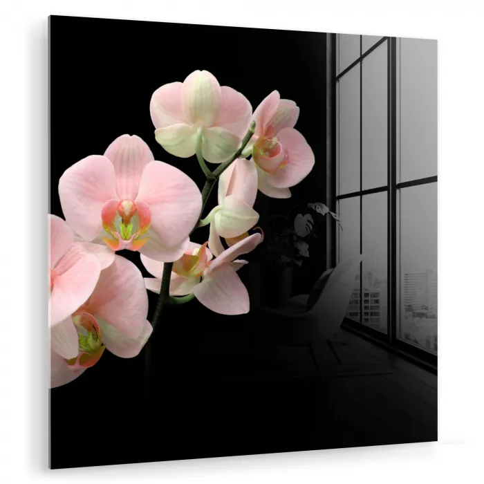 Orchidee - Bloemen - Roze - Stilleven - Flora plexiglas 5mm klein -zzzproduct_nieuw
