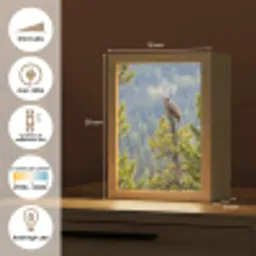 Uil - Oehoe - Bomen - Natuur Light Box met kabel (Kinderlampje) klein -USP_FR
