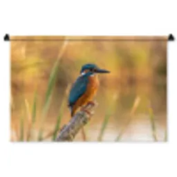 IJsvogel - Tak - Water - Kleurrijk - Levendig Wandkleed katoen middel -zz3d