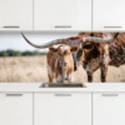 Texas Longhorn - Kalf - Weide - Dieren keuken achterwand 2 middel -3d