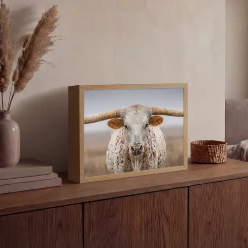 Longhorn - Grasveld - Dier Light Box met batterij (Wandlamp) middel -sfeer2